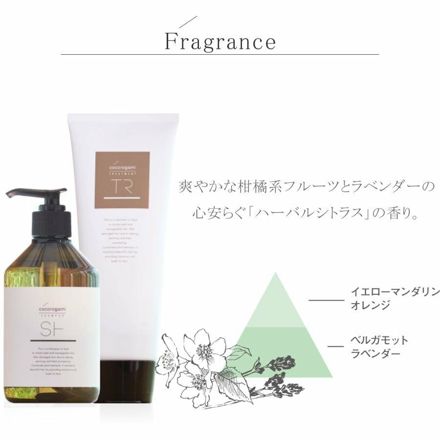 心髪 ボタニカル トリートメント 700g 詰替用 Cocorogami Treatment サロン専用品通販 Apish Mo No