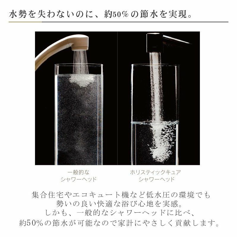 ホリスティックキュア シャワーヘッド 交換用 グリップ 軟水フィルター HOLISTIC CURE SHOWER HEAD グリップカラー:ブラック CISWH-XF10B