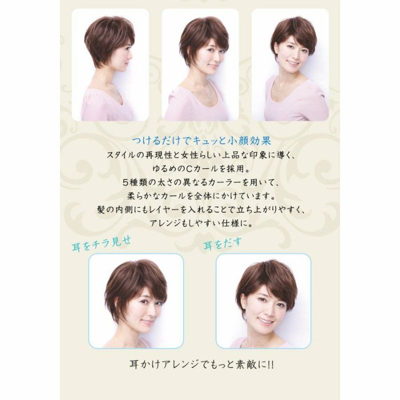 坂巻哲也 ヘアコサージュ フルウィッグ エレガントショート 人毛 ダークブラウン