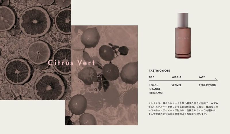 ロアザオイル ケア シトラスヴェール 100mL 2本セット 箱無し ロアザオイル ケア シトラスヴェール 100mL 2本セット 箱無し